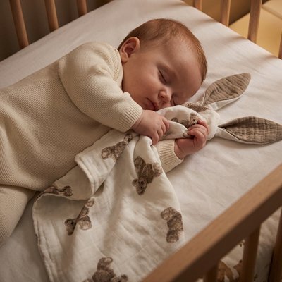 Doudou ourson dort